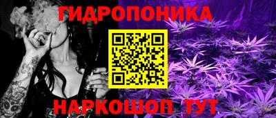 альфа пвп Краснознаменск
