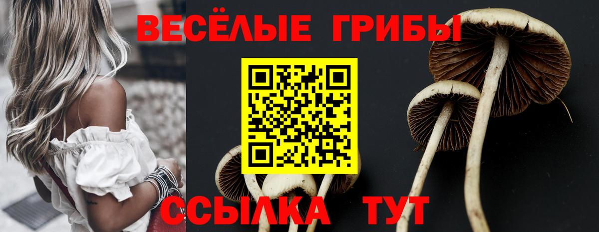 Галлюциногенные грибы мухоморы  наркота  Каспийск  Вход с VPN 