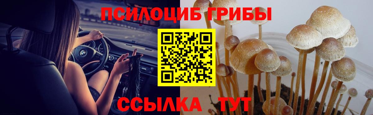 Галлюциногенные грибы Magic Shrooms Каспийск